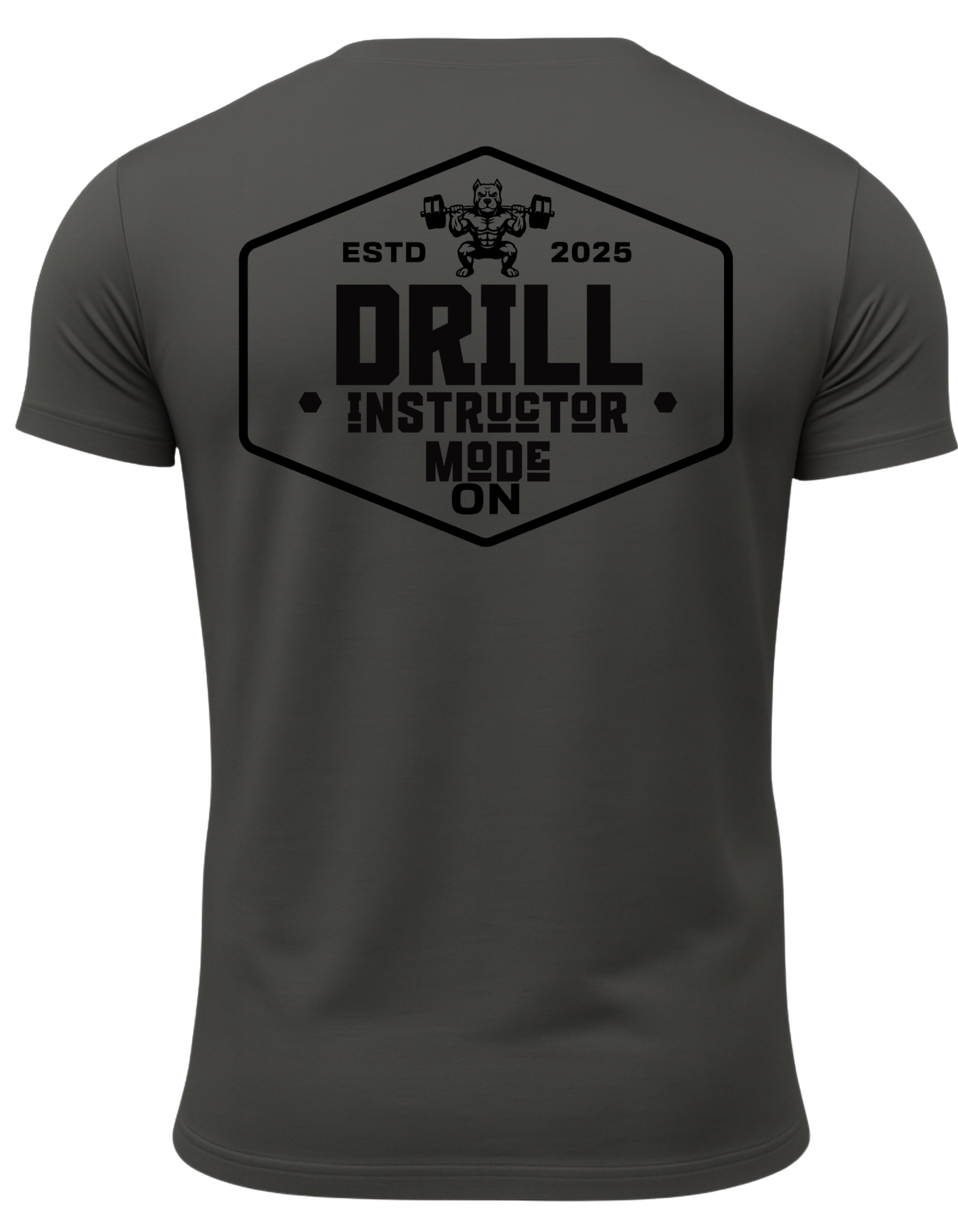 Drill Instructor Mode On T-Shirt