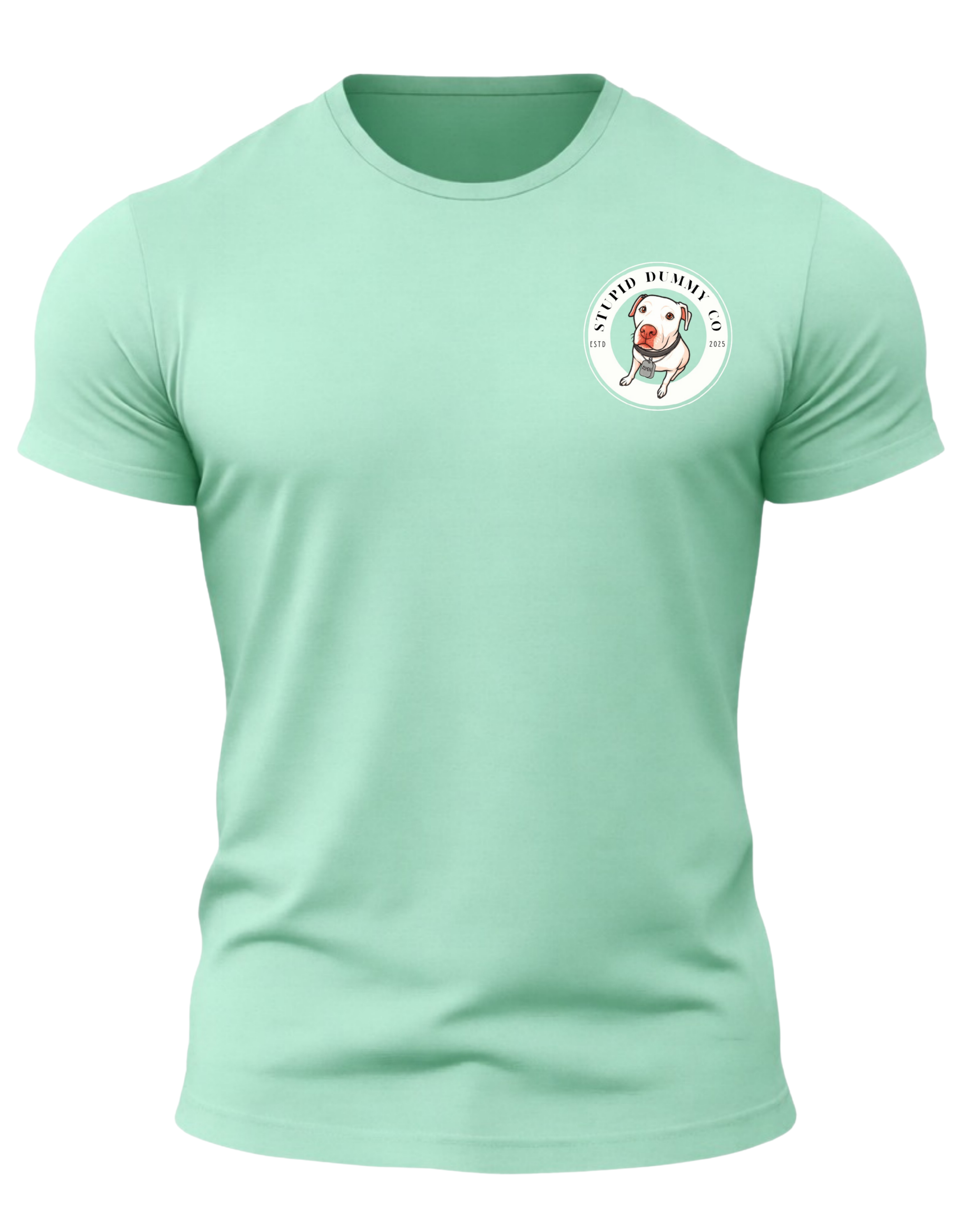 Stupid Dummy Co T-Shirt